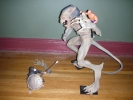 dscn2312