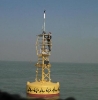 wardedbuoy
