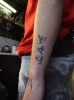 Ward-tats_2