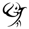 wind_ward_web
