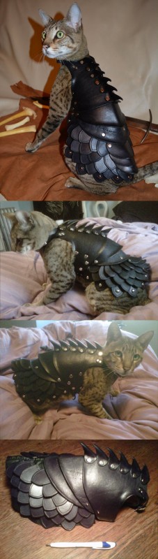 funny-cat-outfit-costume-leather-armor