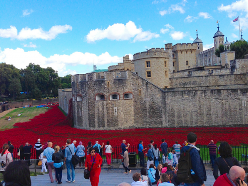 poppies tower