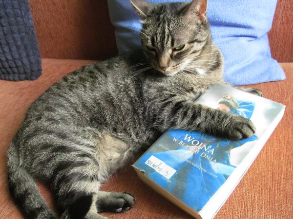 CatWithBook